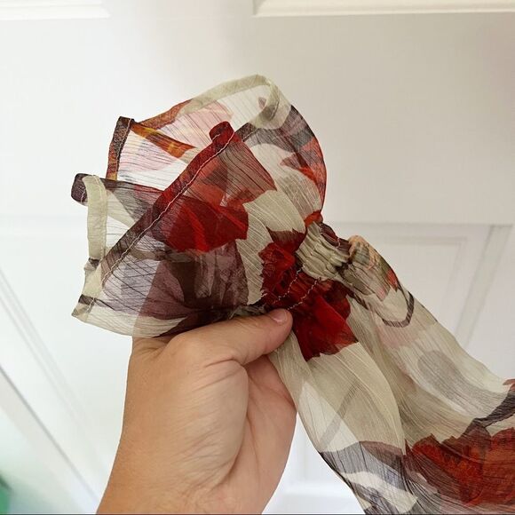 Zara Floral Ruffle Sheer Top - Picture 5 of 8